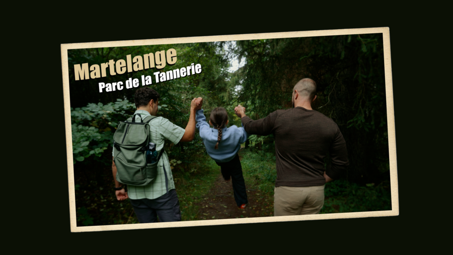 contenu visuel pour un parc  | © Vizual Studio